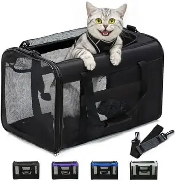 Transportines de tela para gatos
