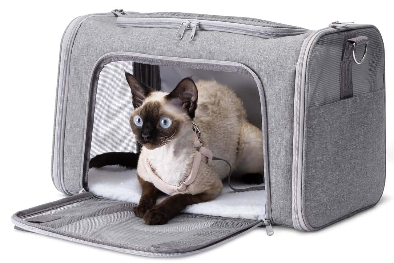 transportin blando para gato