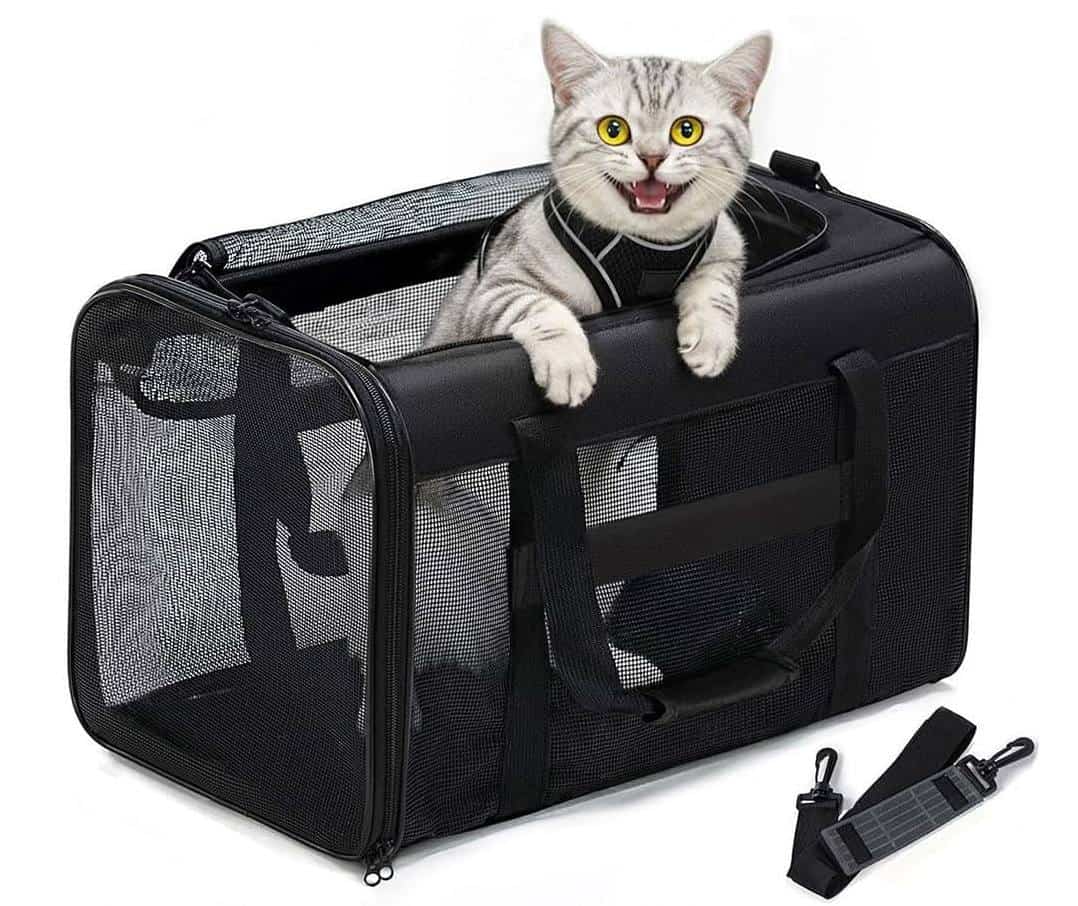 transportines de viaje para gato