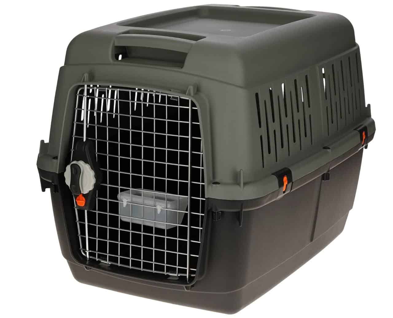 caja de transporte grande para gato