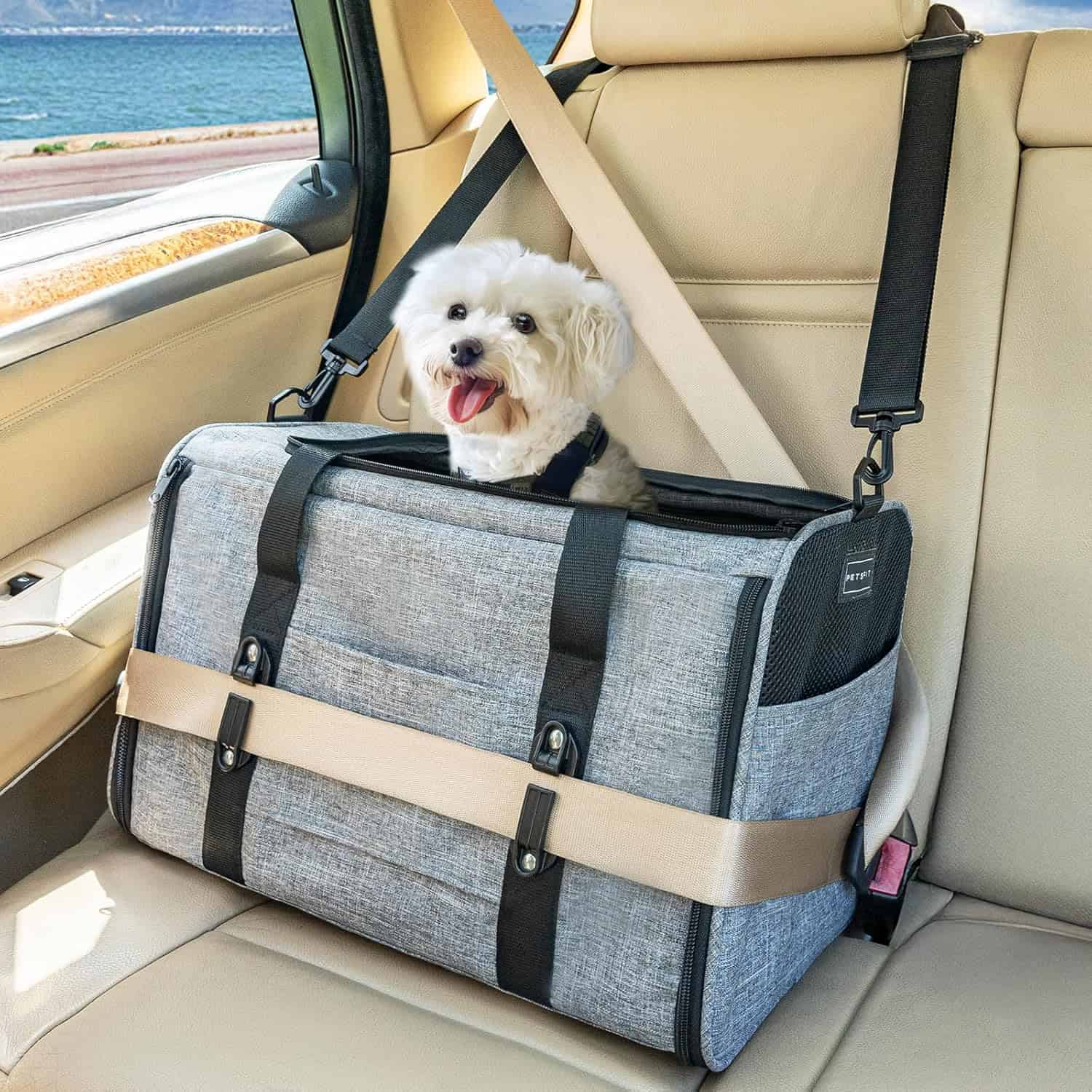 Transportines plegables para gatos