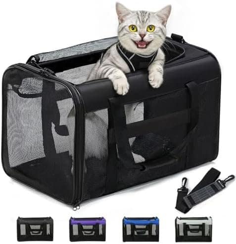 Transportines de tela para gatos